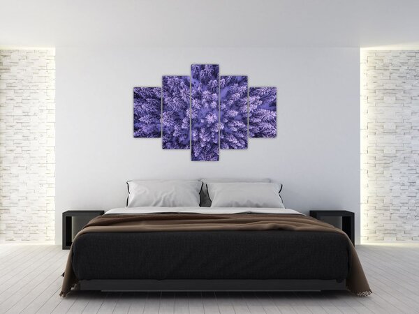 Havas fák képe (150x105 cm)