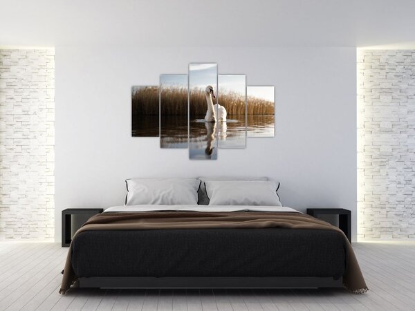 Hattyú képe (150x105 cm)