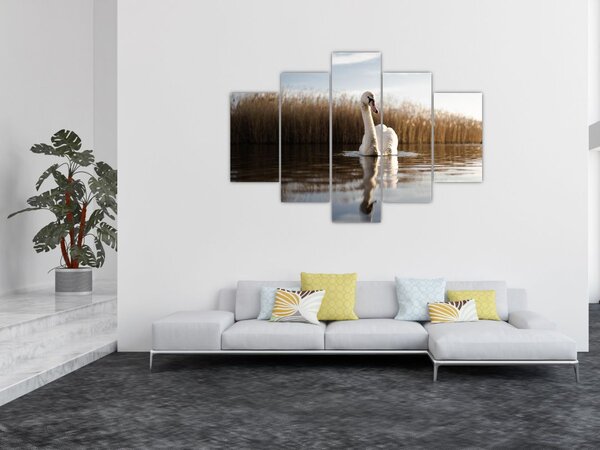Hattyú képe (150x105 cm)