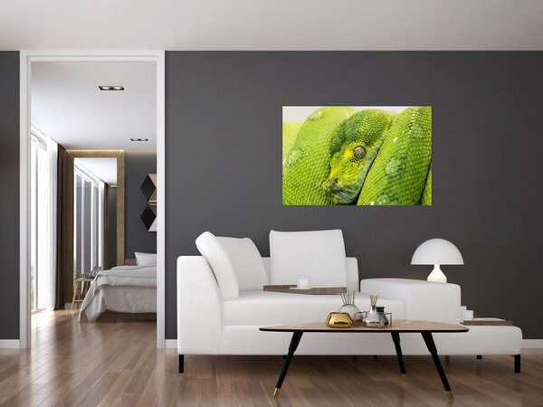 Kígyó képe (90x60 cm)