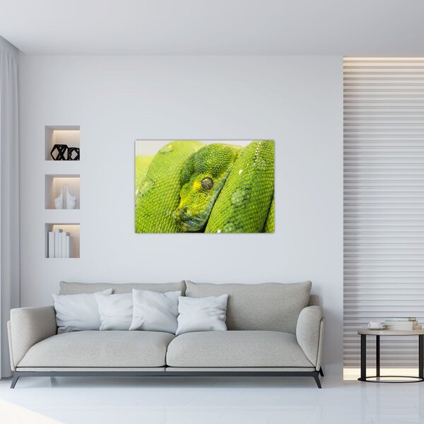 Kígyó képe (90x60 cm)
