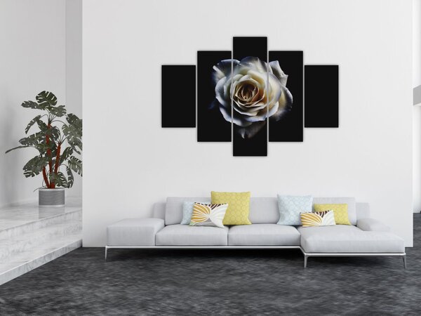 Fehér rózsa képe (150x105 cm)