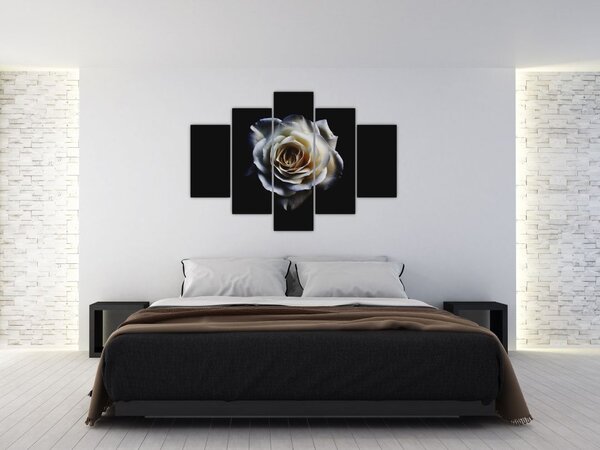 Fehér rózsa képe (150x105 cm)