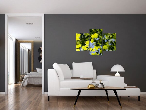 Kép - juhar levelek (90x60 cm)