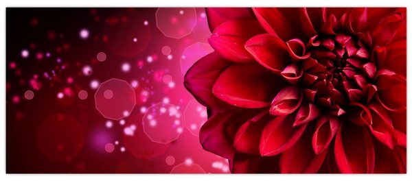 Piros virágok képe (120x50 cm)