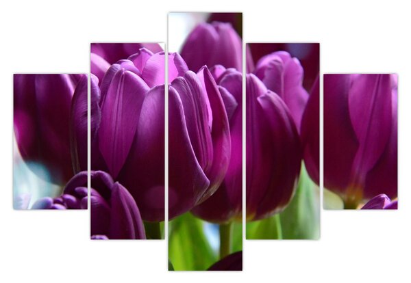Tulipán képe (150x105 cm)
