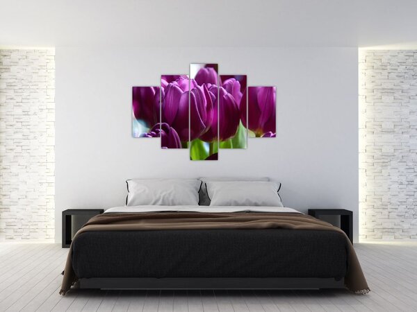 Tulipán képe (150x105 cm)