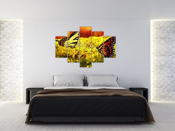 Pillangó képe (150x105 cm)