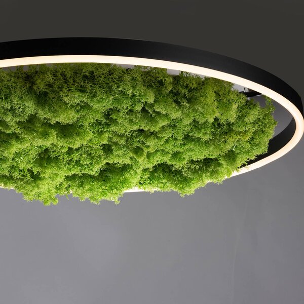 JUST LIGHT. GmbH LED mennyezeti lámpa Zöld Ritus, moha, fényerőszabályzó Ø58.5cm, dimmelhető, Zöld, Nappali / Étkező, Modern