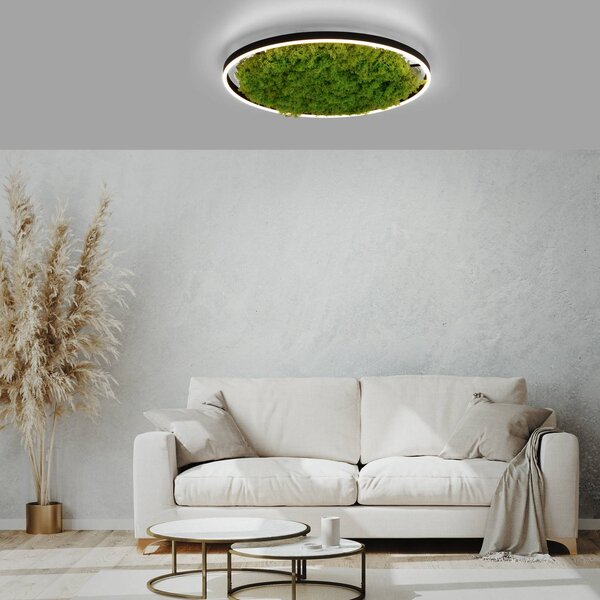 JUST LIGHT. GmbH LED mennyezeti lámpa Zöld Ritus, moha, fényerőszabályzó Ø58.5cm, dimmelhető, Zöld, Nappali / Étkező, Modern