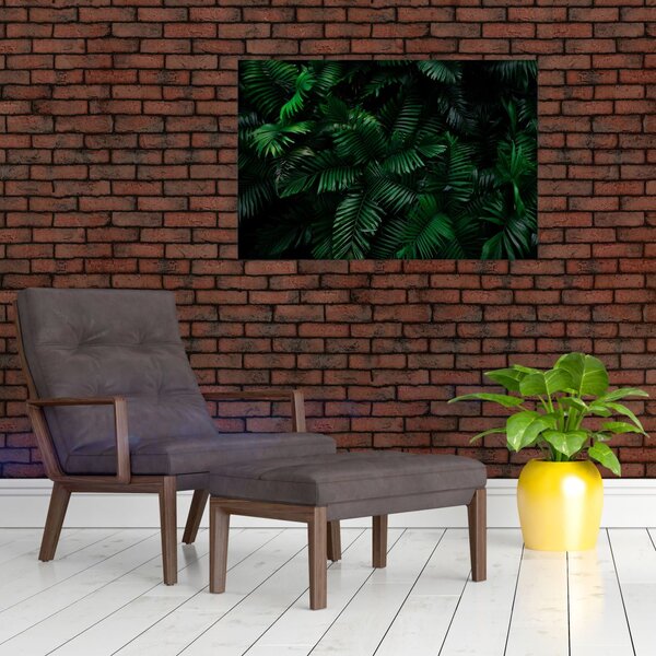 Kép - trópusi páfrány (90x60 cm)