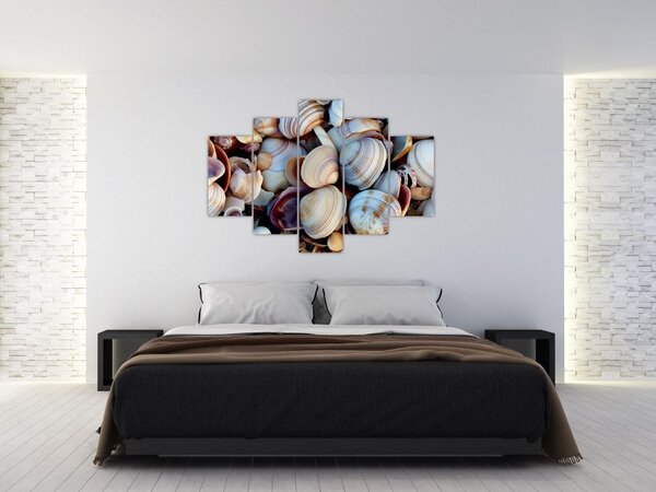 Kagyló képe (150x105 cm)