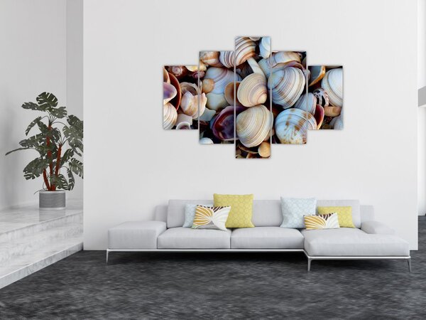 Kagyló képe (150x105 cm)