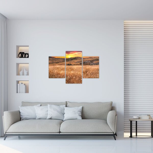 Mező képe (90x60 cm)