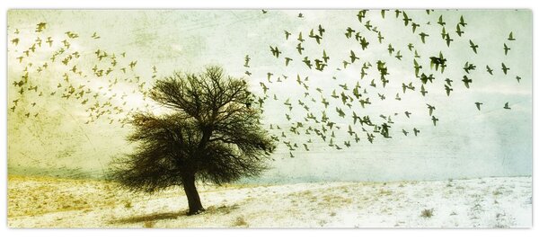 Kép - Festett madárállomány (120x50 cm)