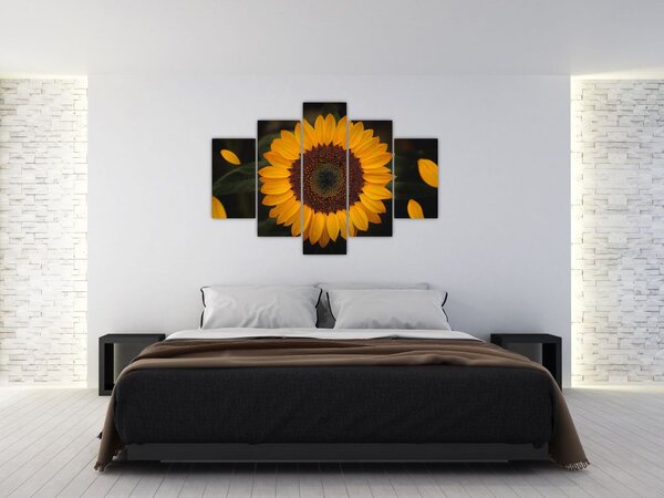Kép - Napraforgók és a virágszirmok (150x105 cm)