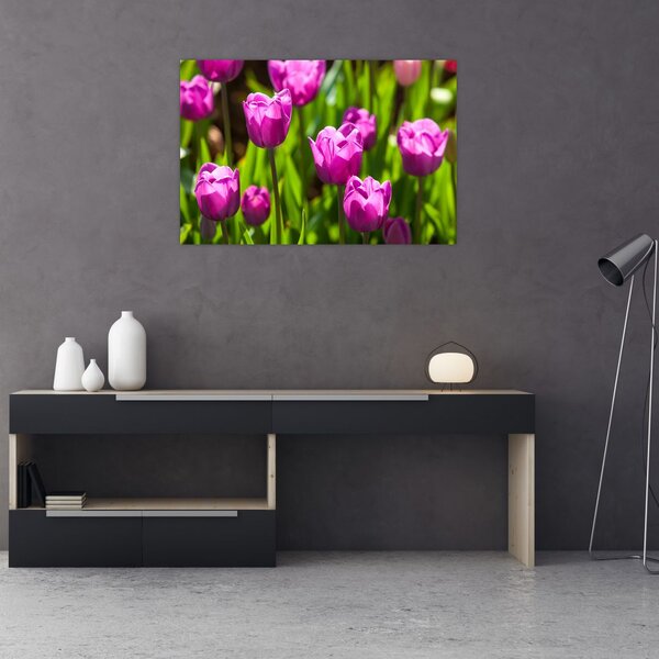 Tulipánok a réten képe (90x60 cm)
