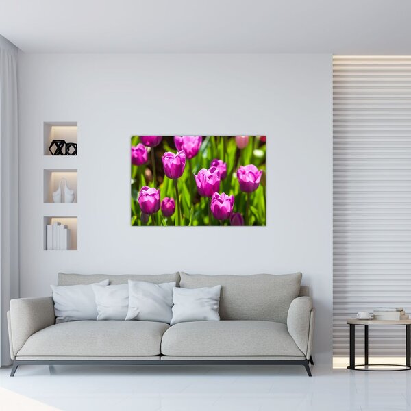 Tulipánok a réten képe (90x60 cm)