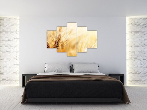 Kép - részlet gabona (150x105 cm)