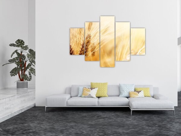 Kép - részlet gabona (150x105 cm)
