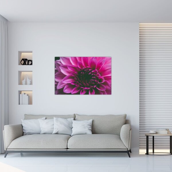 Rózsaszín virág képe (90x60 cm)