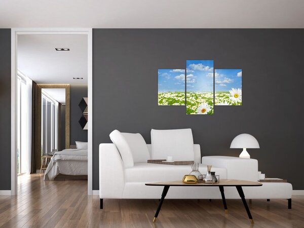 A virágzó rét százszorszépekkel képe (90x60 cm)