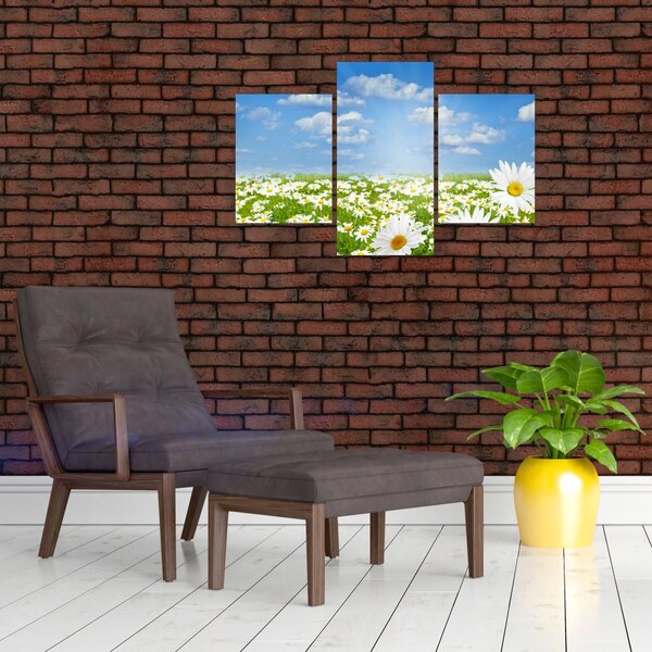 A virágzó rét százszorszépekkel képe (90x60 cm)