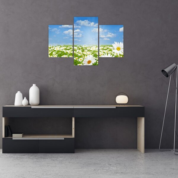 A virágzó rét százszorszépekkel képe (90x60 cm)
