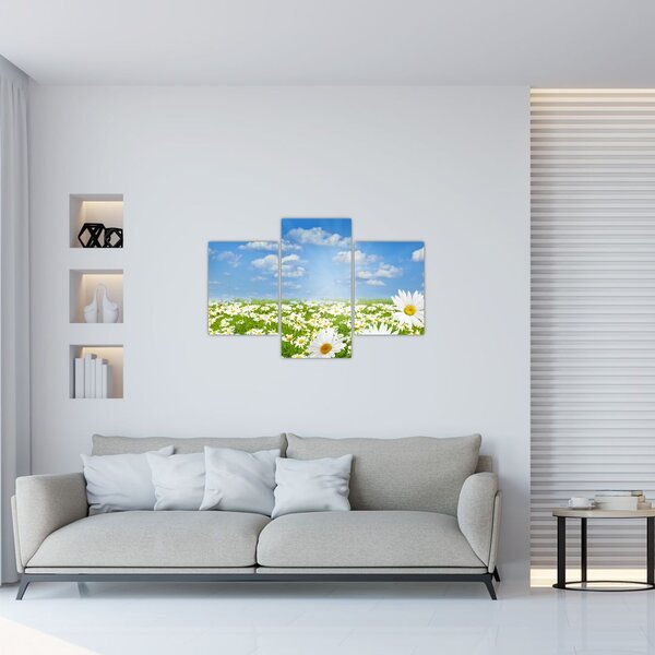 A virágzó rét százszorszépekkel képe (90x60 cm)