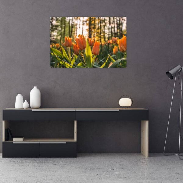 Kép - tulipánok (90x60 cm)