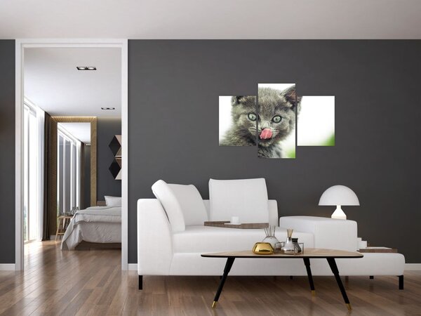 Nyaló cica képe (90x60 cm)