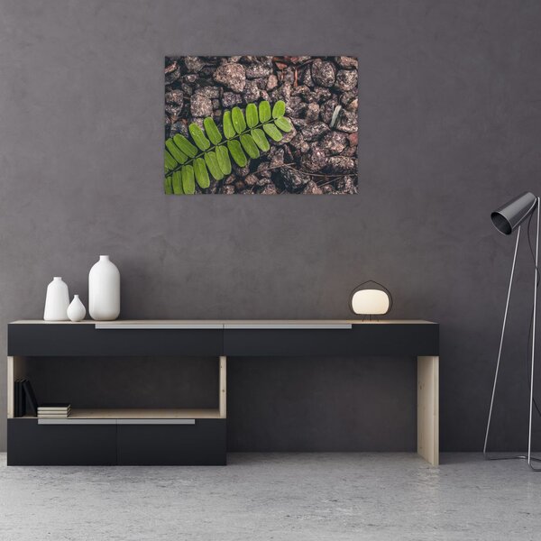 Zöld növények képe (70x50 cm)