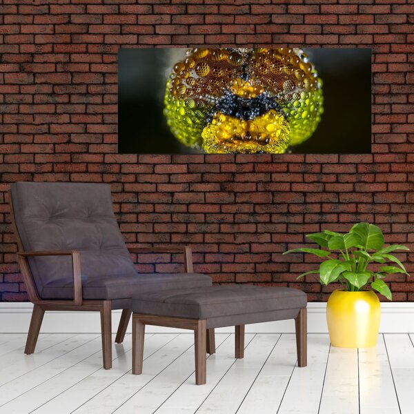 Részletes kép a rovar szemről (120x50 cm)
