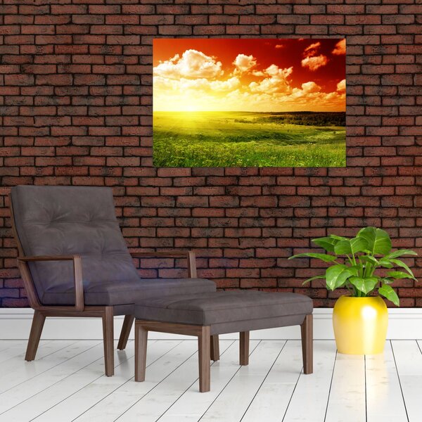Rét képe ragyogó napfénnyel (90x60 cm)