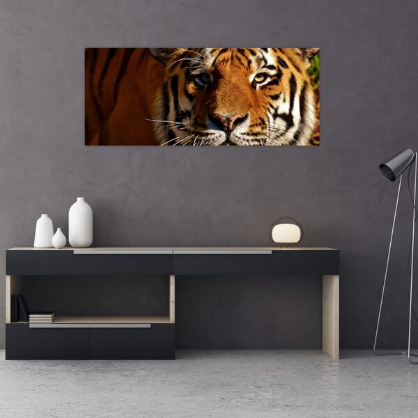 Tigris képe (120x50 cm)