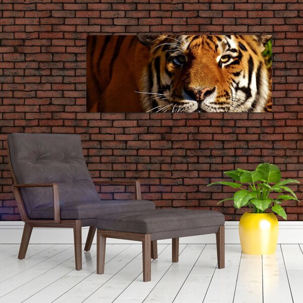 Tigris képe (120x50 cm)