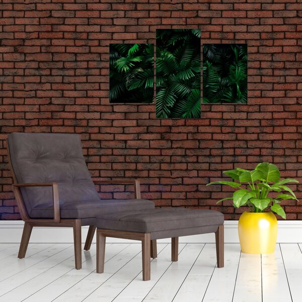 Kép - trópusi páfrány (90x60 cm)