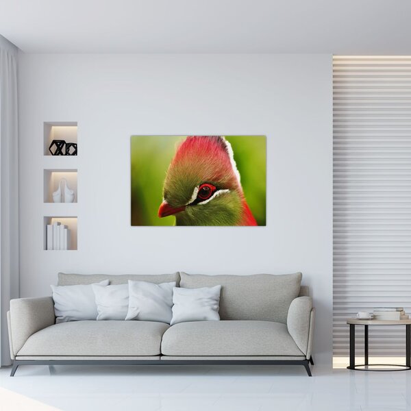 Színes madár képe (90x60 cm)