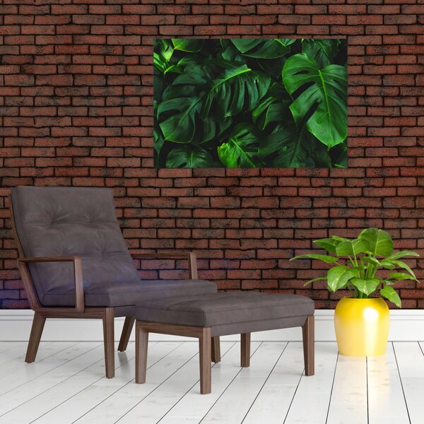 Monstery levelek képe (90x60 cm)