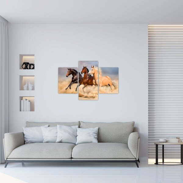 Kép - Vad lovak (90x60 cm)