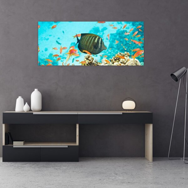 A víz alatti világ képe (120x50 cm)