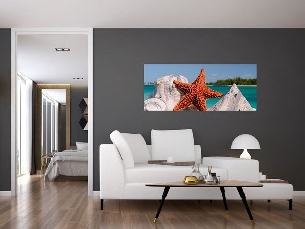 Egy tengeri csillag képe (120x50 cm)