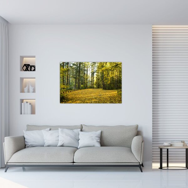 Kép - erdő ősszel (90x60 cm)