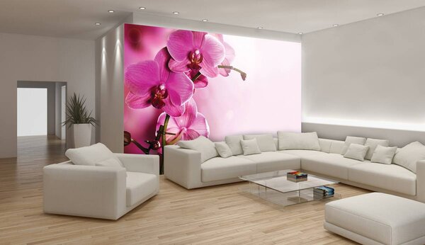 Fotótapéta - Orchidea (152,5x104 cm)
