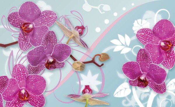 Fotótapéta - Orchidea (152,5x104 cm)