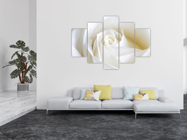Egy fehér rózsa képe (150x105 cm)