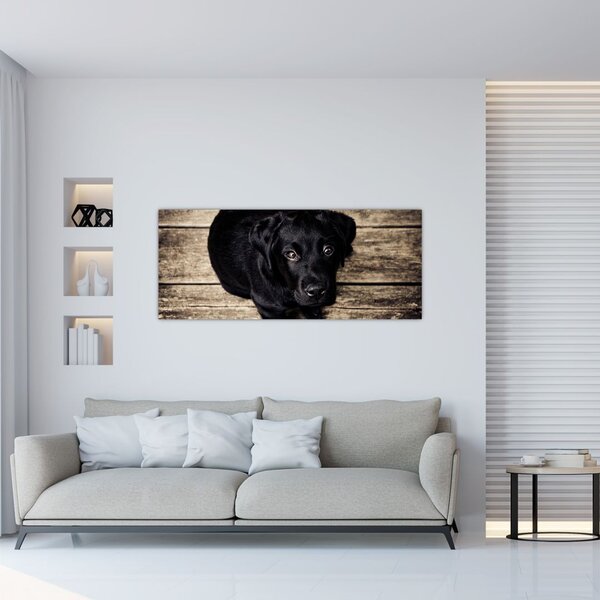 Egy fekete kiskutya képe (120x50 cm)