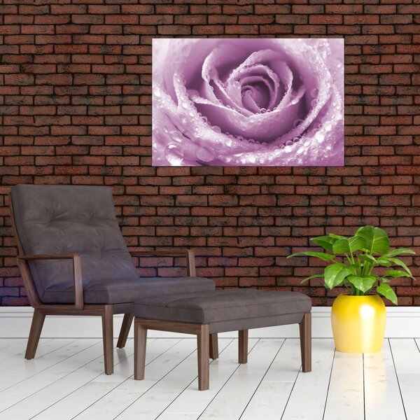 Egy rózsa virág részlete (90x60 cm)