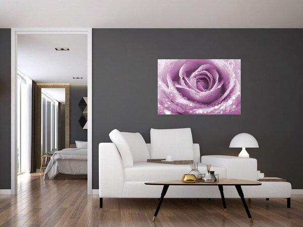 Egy rózsa virág részlete (90x60 cm)