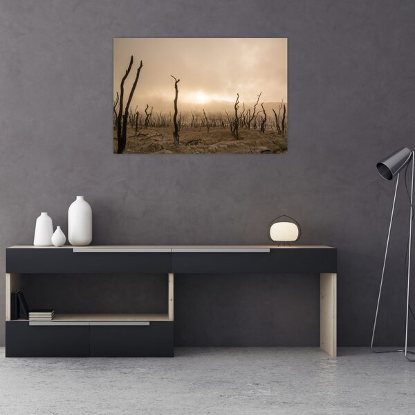 Kép - Csupasz fák (90x60 cm)